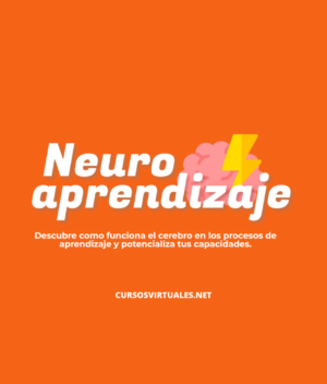 Neuroaprendizaje